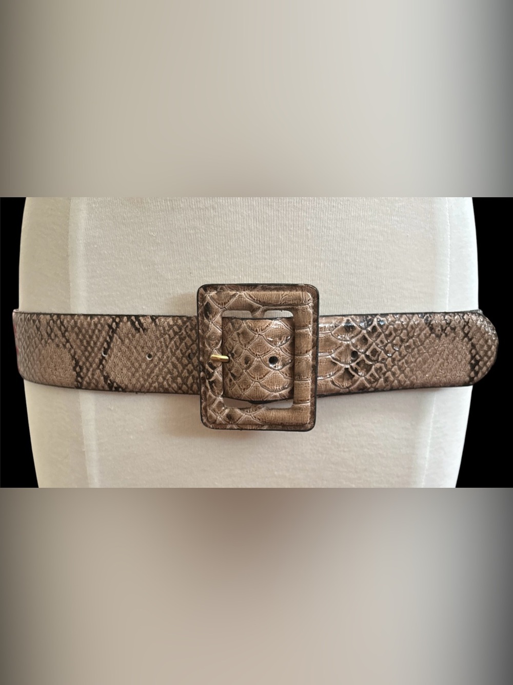 Faux Snakeskin Wide Brown Statement Buckle Belt